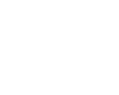 Joaquim 101